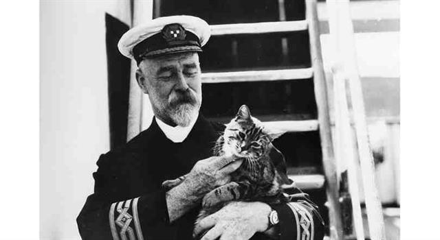 История Вопрос: Считается, что кошки на корабле приносят удачу. Была своя кошка и на злополучном "Титанике". А как ее звали?