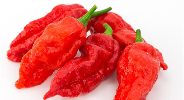 Nature Trivia Question: The ghost pepper is cultivated in what country?