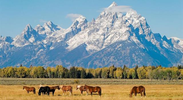 Geography Trivia Question: What river flows through Jackson Hole, Wyoming?
