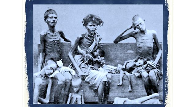 historia Pytanie-Ciekawostka: W którym kraju Józef Stalin spowodował klęskę głodu, która jest znana jako Hołodomor?