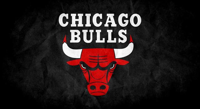 Sport Trivia Question: Who was hired as assistant coach for the Chicago Bulls in 1987 and was promoted to head coach in 1989?