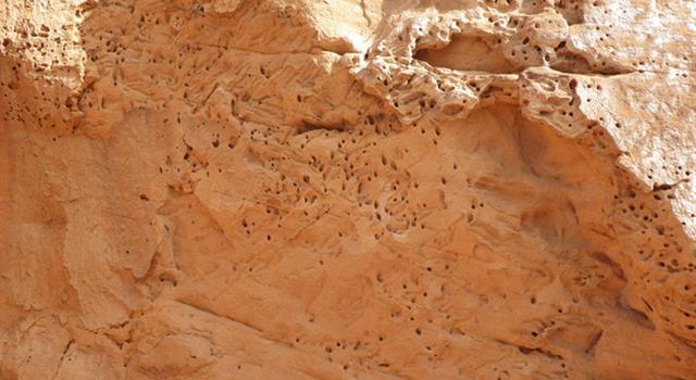Nature Trivia Question: How were these holes in this sandstone rock made?