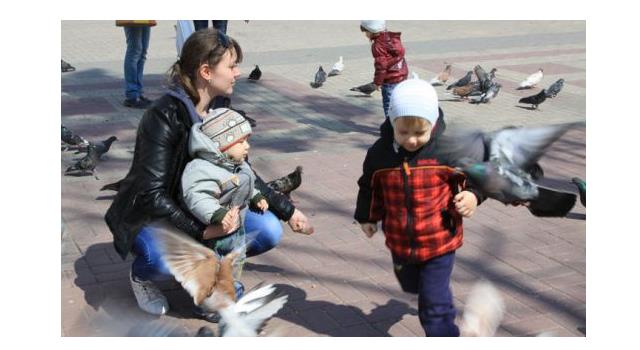 Суспільство Запитання-цікавинка: Чи правда, що у Венеції штрафують за годування голубів на площі Сан-Марко?