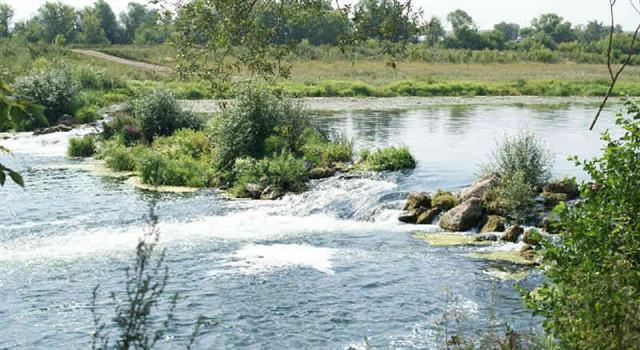 География Вопрос: В Нижегородской области протекает река Пьяна, расстояние от устья до истока этой реки всего около 60 км, а какова же ее длина?
