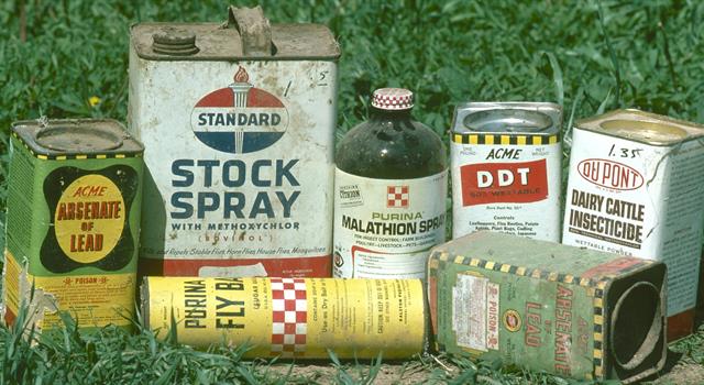 Society Trivia Question: What book facilitated the ban of the pesticide DDT in 1972 in the U.S.?