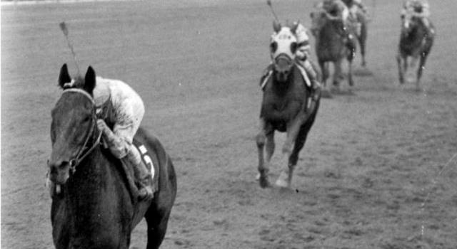 Sport Trivia Question: Who was the only horse to win thoroughbred "Horse of the Year" 5 times?