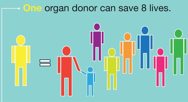Сiencia Pregunta Trivia: ¿Cuál es el órgano humano más comúnmente transplantado en el mundo?