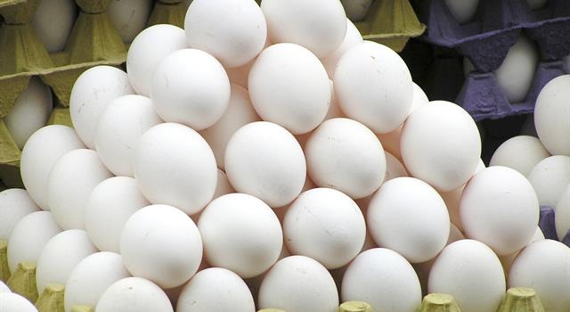 Culture Trivia Question: How many different sizes of eggs does the USDA currently recognize?