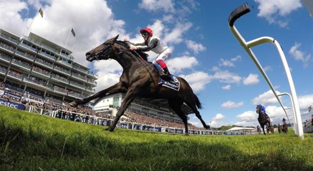 Sport Trivia Question: How many horses have won the UK Epsom Derby on more than one occasion?