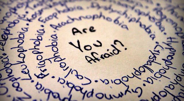 Società Domande: Se soffri di pogonofobia, di cosa hai paura?