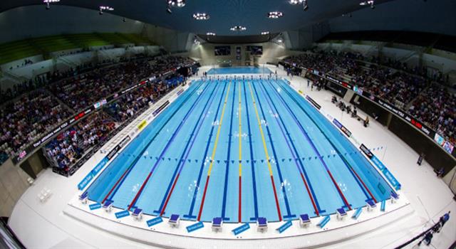 Sport Trivia Question: Measured in feet, how long is an Olympic swimming pool?