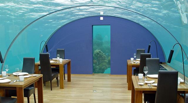 Cultura Pregunta Trivia: ¿Dónde está Ithaa, el primer restaurante submarino del mundo?