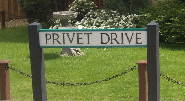 Filmy Pytanie-Ciekawostka: Kto mieszka przy ulicy Privet Drive 4 w Little Whinging, Surrey u wuja Vernona i ciotki Petunii?