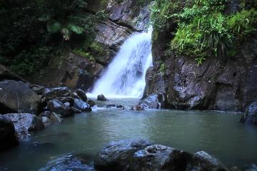 Geografía Pregunta Trivia: ¿Dónde queda el Bosque Tropical del Yunque?