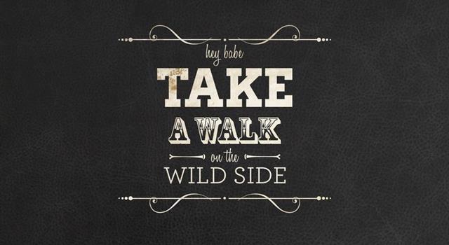 Culture Trivia Question: In the song "Take a walk on the wild side", where does Holly come from?