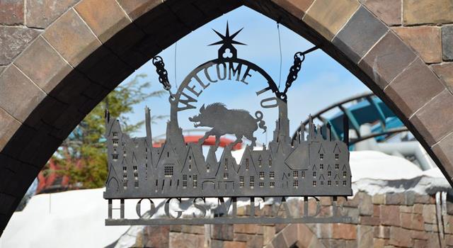 Movies & TV Trivia Question: What is the popular beer that is sold at Hogsmeade in Harry Potter?