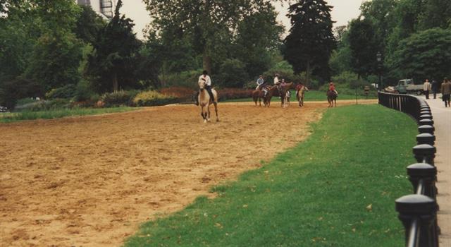 Culture Trivia Question: What name is given to the unpaved road along the south side of London's Hyde Park, normally reserved for Horseriders?