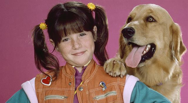 Movies & TV Trivia Question: What was the name of Punky Brewster's dog?