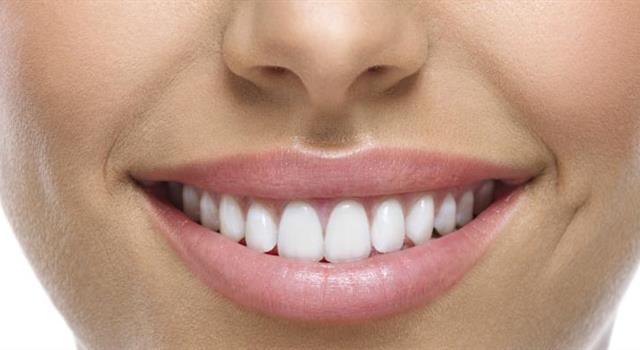 Наука Вопрос: Сколько постоянных зубов должно быть в норме у взрослого человека?