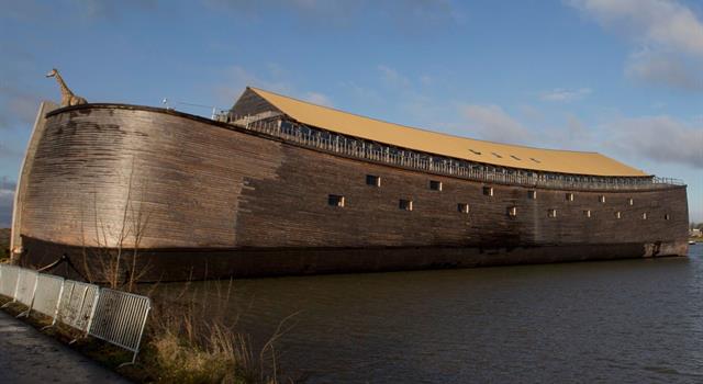 Culture Trivia Question: In the Bible, Noah's Ark is said to be made of what wood?
