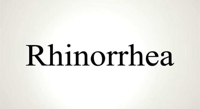 Science Question: La rhinorrhée, ce terme médical désigne quoi ?