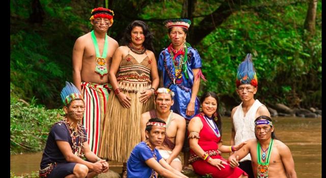 Cultura Pregunta Trivia: ¿Qué es la "ayahuasca"?
