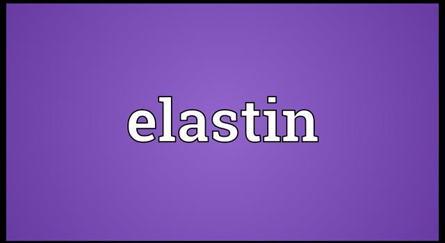 Science Trivia Question: What is Elastin, a component of some of the body's ligaments?