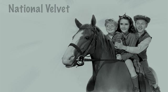 Movies & TV Trivia Question: What is the name of the horse in the film 'National Velvet'?