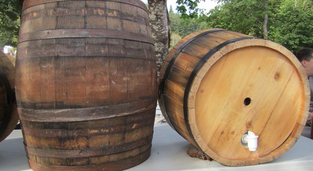 Culture Trivia Question: What was originally added to rum to make grog?