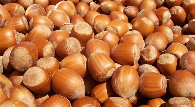 Society Trivia Question: Which U.S. state in 2014 produced about 99 percent of all the hazelnuts found in the country?