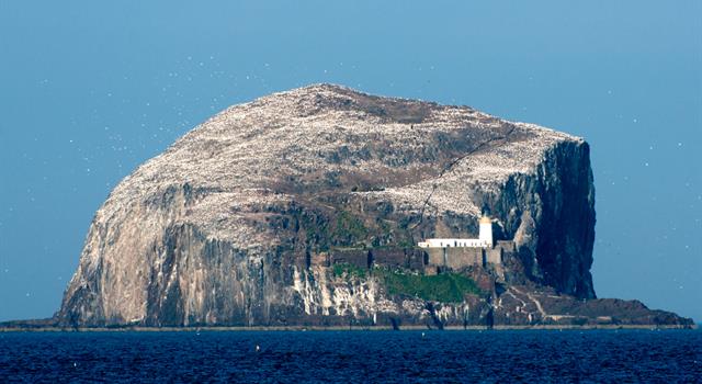 Geography Trivia Question: From which Scottish seaside town can boat trips be made to Bass Rock?