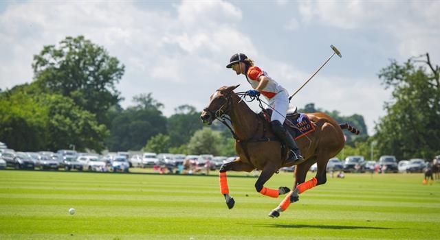 Sport Trivia Question: In which county is Cowdray Park, England's premier polo venue?