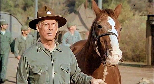 Movies & TV Trivia Question: On "M*A*S*H" (the TV series), what is the name of Colonel Potter's beloved horse?