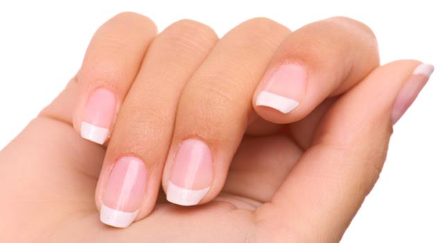 Nature Trivia Question: What is the average rate that a human nail grows in a month?