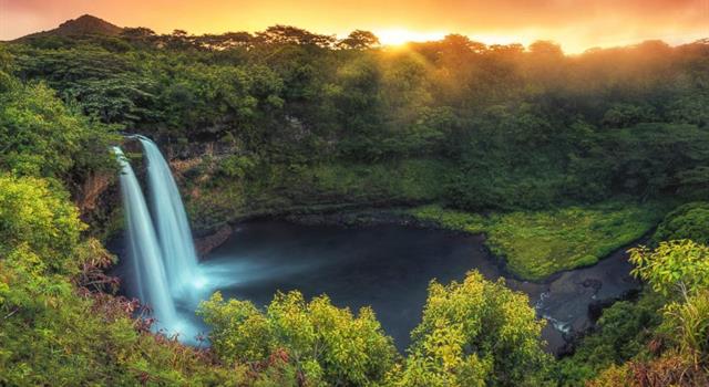 Geography Trivia Question: Which of the Hawaiian Islands is nicknamed the "Garden Isle"?