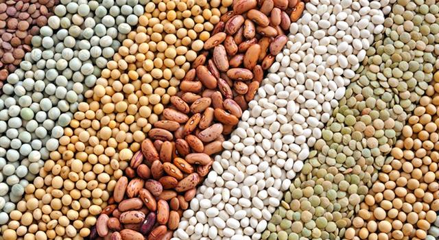 Science Trivia Question: Which type of bean is not actually a bean?