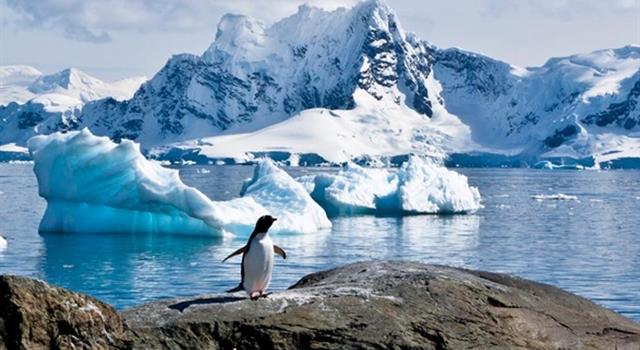 Geografía Pregunta Trivia: ¿Cuál es el país con mayor cantidad de bases permanentes en la Antártida?