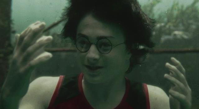 Culture Trivia Question: In a J.K. Rowling book, what did Harry Potter take to allow him to breathe underwater during the Triwizard Tournament?