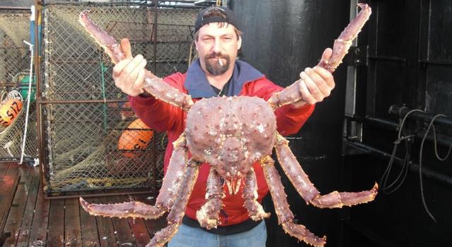 Sport Trivia Question: In which sport can you 'catch a crab'?