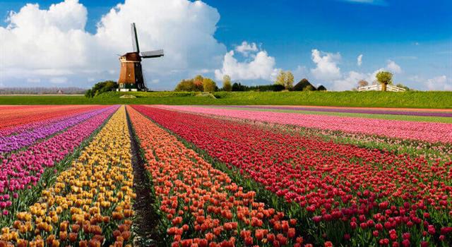 Géographie Question: Quelle est la capitale des Pays-Bas ?
