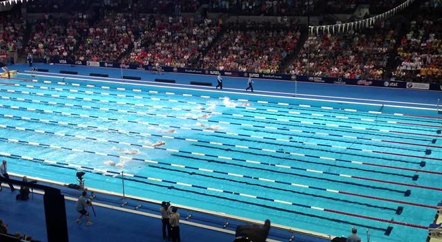Sport Trivia Question: What is the width of each lane in an Olympic swimming pool?
