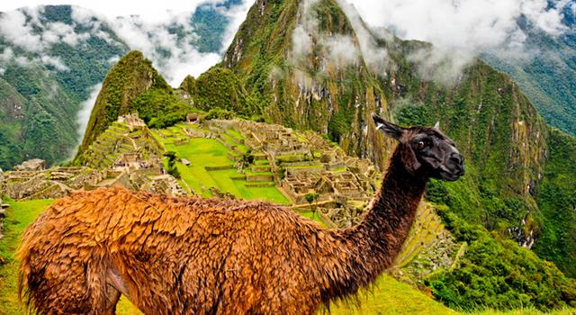 Historia Pregunta Trivia: ¿Cómo se llama la Ciudadela construída antes del siglo XV en la ladera de la Cordillera Central de los Andes ?