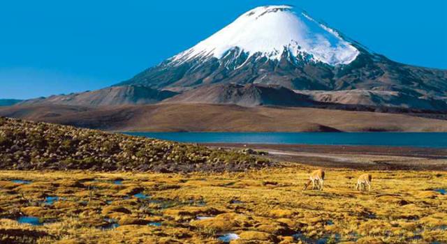 Geografía Pregunta Trivia: ¿Cuál es el volcán mas alto del mundo?