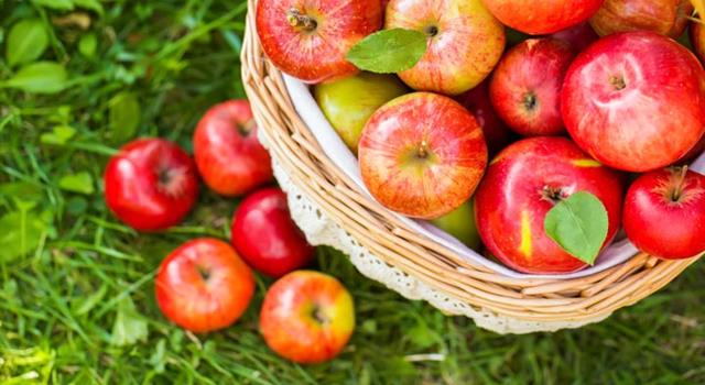 Nature Trivia Question: Where are apples originally from?