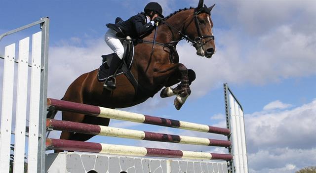 Sport Trivia Question: Where did the equestrian events for the 1956 Olympic Games take place ?