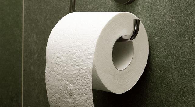 Culture Trivia Question: Who first put toilet paper on a roll, in perforated sheets?