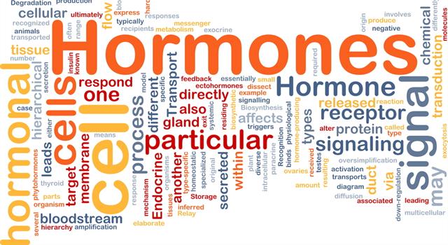 Science Question: En anatomie humaine, quel organe libère l'hormone gastrine ?