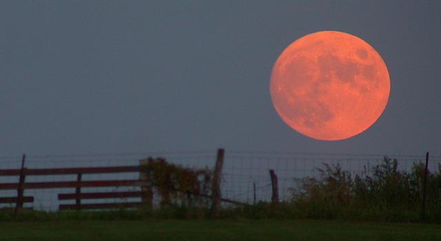 Nature Trivia Question: In the northern hemisphere, the Harvest Moon usually appears in which month?