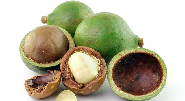 Nature Trivia Question: Macadamia nuts are native to what country?