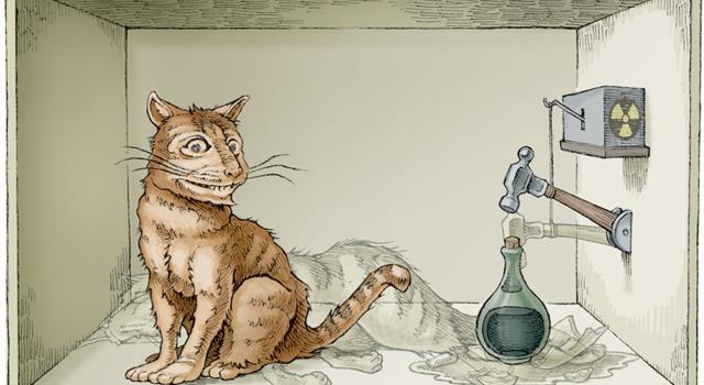 Сiencia Pregunta Trivia: ¿Qué es el gato de schrödinger?